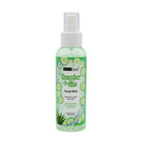 CUCUMBER + ALOE FACIAL SPRAY (12 Units) / ITEM# BT-181